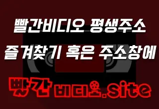 빨간비디오평생주소